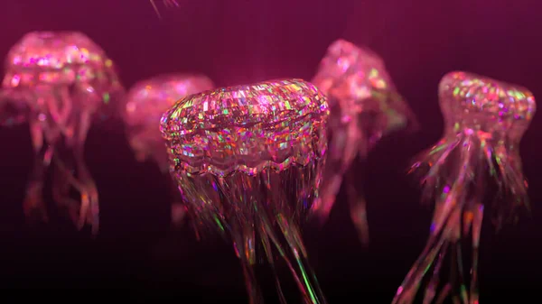 Бриллиантовая медуза плывет вверх. Алмазная коллекция животных. 3d иллюстрация — стоковое фото