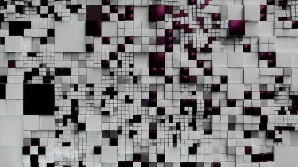 Sfondo astratto. Cubi bianchi neri 3d. Concetto futuristico di rete, dati, digitale. Animazione 3d di loop senza soluzione di continuità — Video Stock