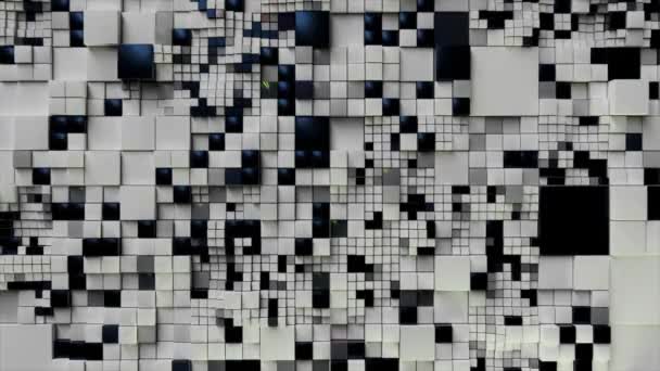 Sfondo astratto. Cubi bianchi neri 3d. Concetto futuristico di rete, dati, digitale. Animazione 3d di loop senza soluzione di continuità — Video Stock