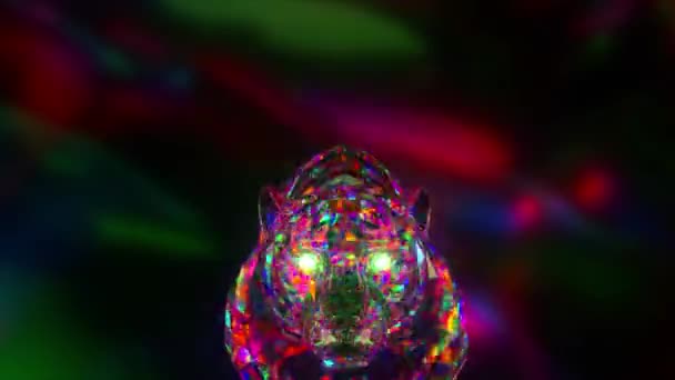 Snarling gyémánt tigris. Természet és állatok koncepciója. Lowpoly vagyok. Rózsaszín neon szín. 2022 jelképe. 3D animáció — Stock videók