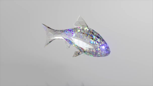 Swimming diamond fish. The concept of nature and animals. Low poly. White color. 3d animation of seamless loop — Stock Video