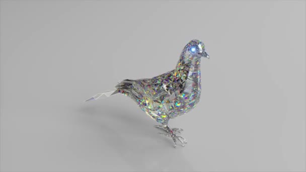 Walking diamond pigeon. The concept of nature and animals. Low poly. White color. 3d animation of seamless loop — Stock Video