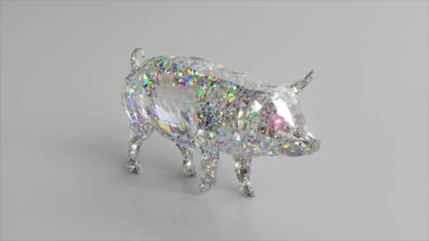 Cerdo diamante andante. El concepto de naturaleza y animales. Polivinílico bajo. Color blanco. animación 3d de bucle sin costura — Vídeos de Stock