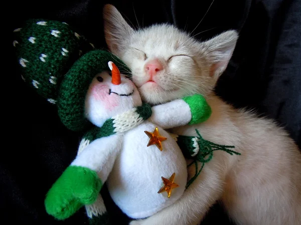 Chaton câlin avec jouet bonhomme de neige Photo De Stock