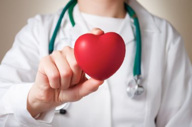 Heart in doctor's hand clipart