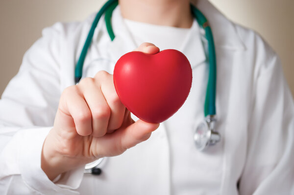 Сердце в руке врача
