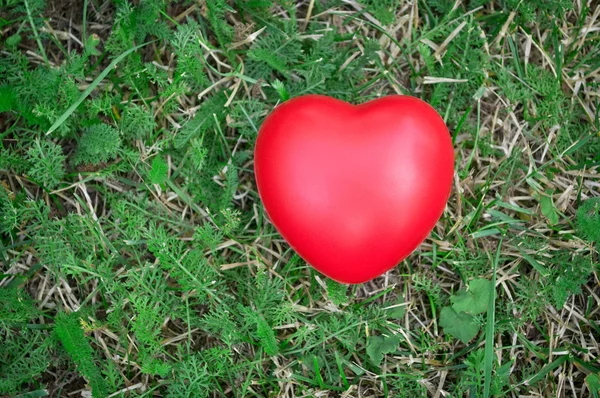 Rotes Herz auf Gras — Stockfoto