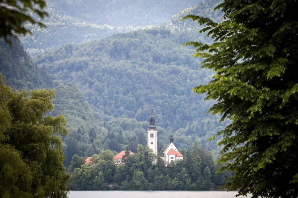 Panorama Del Blejsko Ostrvo Isola Sanguinata Sul Lago Bled Blejsko — Foto Stock