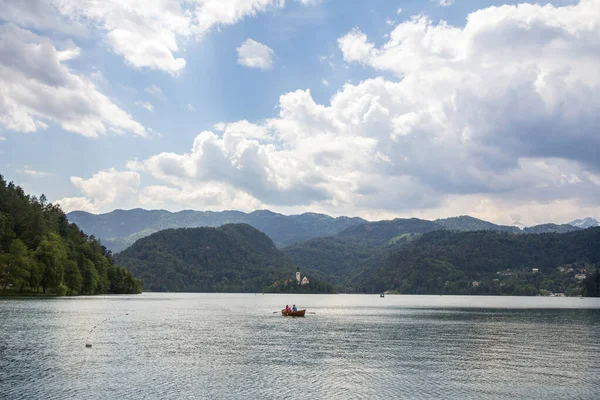 Bled Eslovenia Junio 2021 Turistas Bote Remos Frente Avestruz Blejsko — Foto de Stock