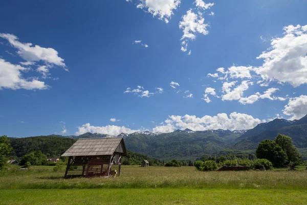 典型的农业景观 在斯洛文尼亚博欣季 在朱利安阿尔卑斯山前的田野中央有一个木制谷仓 还有一个草场牧场 它是斯洛文式农村活动的一个里程碑 — 图库照片