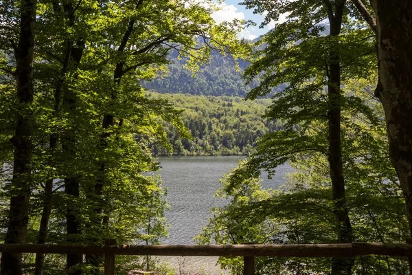ボヒンスコ ジェゼロとも呼ばれるボヒンジ湖のパノラマは 晴れた日の午後には 森林や木々に囲まれています ボヒンジ湖 Bohinj Lake ヨーロッパのスロヴェニアにあるジュリアン アルプス山脈の主要なランドマークである — ストック写真