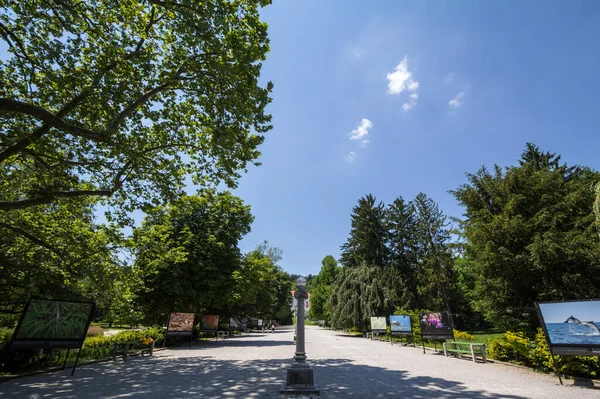 LJUBLJANA, SLOVENIA - 17 Haziran 2021: Tivoli Parkı ana caddesi olan Jakopicevo sprehajalisce, ya da Jakopic Promenade 'e odaklı. Tivoli Parkı, Sloven başkentinin ana şehir bahçesi..