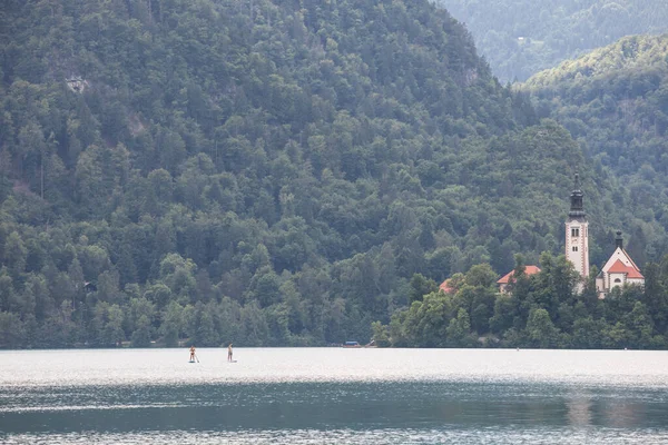 Bled Eslovenia Junio 2021 Gente Haciendo Paddleboarding Pie Frente Avestruz — Foto de Stock