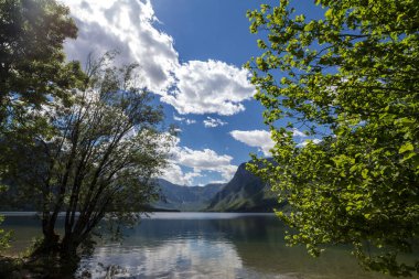 Bohinjsko jezero olarak da bilinen Bohinj Gölü 'nün Panorama' sı, güneşli bir öğleden sonra, bulanık ağaçlarla gizlenmiş. Bohinj Gölü, Slovenya, Avrupa 'daki Julian Alps dağ zincirinin önemli bir simgesidir.