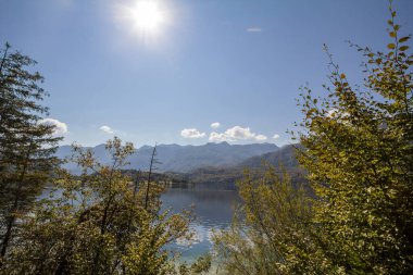 Bohinjsko jezero olarak da bilinen Bohinj Gölü 'nden Panorama, güneşli bir yaz öğleden sonrasında orman, ağaç ve çalılarla gizlenmiş. Bohinj Gölü, Slovenya, Avrupa 'daki Julian Alps dağ zincirinin önemli bir simgesidir.