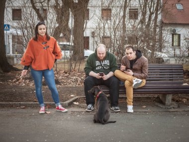 BELGRAD, SERBIA - 27 HAZİRAN 2017: Genç insanlar, Y jenerasyonu erkek ve kadınlar, bir bankta oturup akıllı telefonlarını kontrol ediyorlar ve bir köpeği gezdirirken içeriğine bakıyorlar