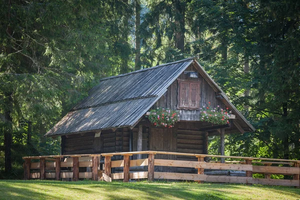 Slovenya 'nın Julijske Alpleri' ndeki Julian Alpleri 'nin ortasındaki küçük bir dağ ormanının ortasında ahşaptan yapılmış küçük bir dağ evi.