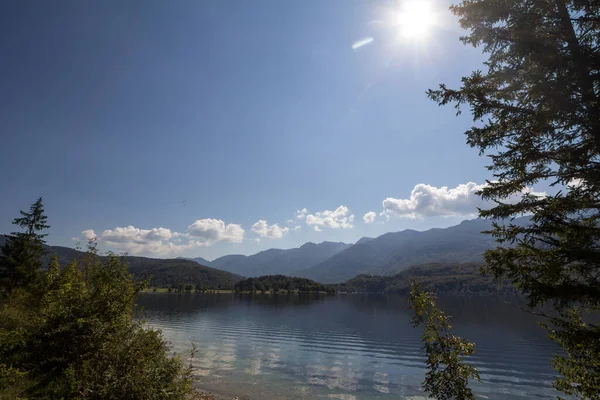 Πανόραμα Της Λίμνης Bohinj Που Ονομάζεται Επίσης Bohinjsko Jezero Ένα — Φωτογραφία Αρχείου