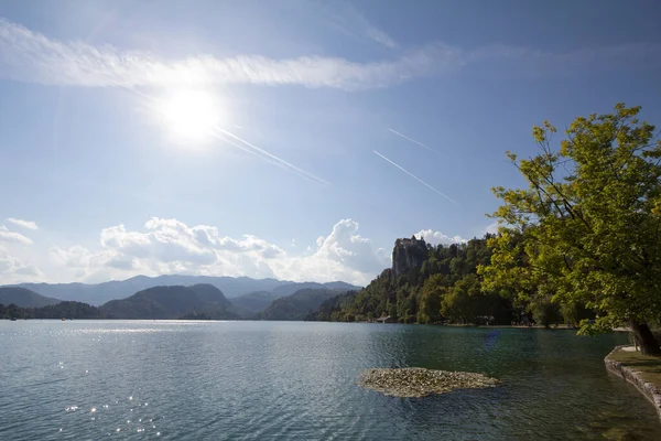 Panorama Del Lago Bled Blejsko Jezero Con Suo Castello Blejski — Foto Stock