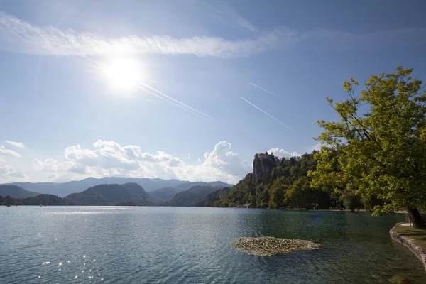 Panorama Del Lago Bled Blejsko Jezero Con Castillo Blejski Hrad — Foto de Stock