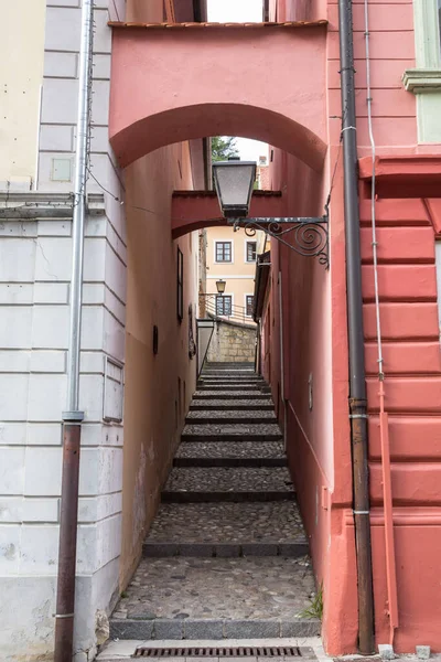 Escalera Escalones Una Calle Estrecha Ciudad Medieval Eslovena Ptuj Con —  Fotos de Stock