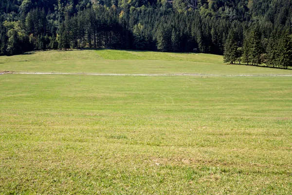 Horská Mýtina Mýtina Uprostřed Alpského Lesa Triglavského Národního Parku Bled — Stock fotografie