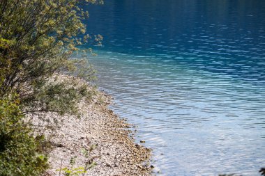 Bohinjsko Jezero 'daki tipik göl plajı, ya da Slovenia' daki Bohinj Gölü, Julian Alpleri 'ndeki bir dağ suyu rezervi, kayalık bir plaj, bazı ağaçlar ve açık mavi doğal su.
