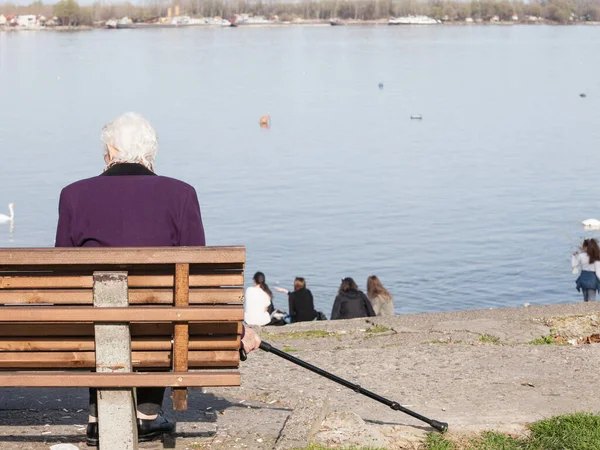 BELGRAD, SERBIA - 27 HAZİRAN 2017: Belgrad 'ın bir banliyösü olan Zemun' daki Tuna Nehri 'ne bakan yaşlı kadınlar, büyükanne, Sırp, bankta oturan yaşlı kadınlar