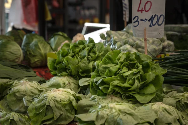 Selective blur on green lettuce salads for sale on Zeleni Venac market in Belgrade, Serbia with their price displayed. Lettuce is also called Lactuca sativa, a leaf vegetable used for salads.