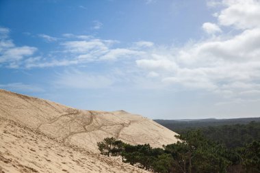 Arka planda Landes de Gascogne çam ormanı bulunan kumlu Pila kumulunun (Dune du Pyla) panoraması. Pilat veya Pyla Dune, Avrupa 'nın Aquitaine' deki Arcachon Körfezi 'ndeki en büyük kum tepesidir.