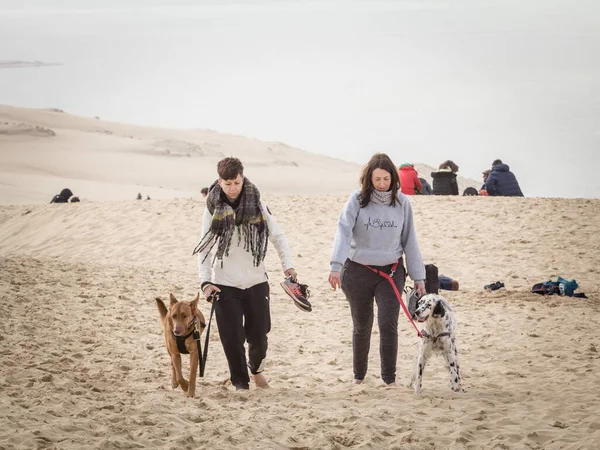 PILAT, FRANCE - 22 Şubat 2022: Pilat Dune 'da (Dune du Pyla) iki köpek gezdiren iki kadın ve kız üzerinde seçici bulanıklık. Pilat, ya da Pyla Dune Avrupa 'nın en büyük kum tepesidir, Arcachon Körfezi, Aquitaine