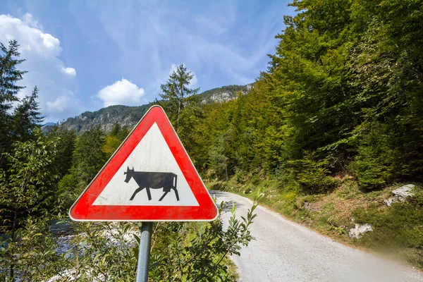 European sign, a cattle crossing roadsign, abiding by European traffic regulations, warning of the presence of cows and other animals frequently in a rural situation.