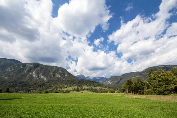 Typická Alpská Zemědělská Krajina Pastvinami Loukami Horské Mýtině Národním Parku — Stock fotografie