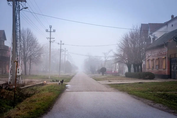 Selective Blur Empty Road Street Village Vladimirovac Vojvodina Banat Serbia — Stockfoto
