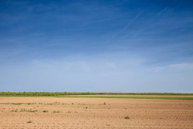 Agricultural landscape, a plowed field in the countryside of Serbia, in Voivodina, between surduk and slankamen in spring. The plough is one of the techniques used in agriculture to fertilize a land