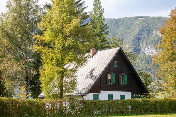 Residential House Slovenian Chalet Building Middle Mountain Glade Clearing Middle — Stockfoto