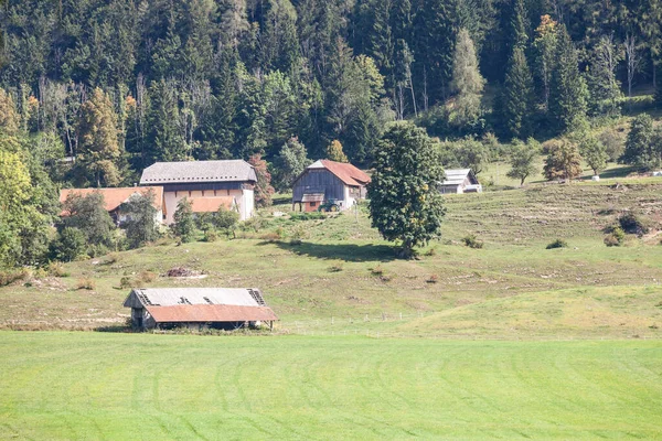 Typical agricultural landscape with a wooden barn and farms in a middle of a field with a grass pasture meadow in Zgornje Jezersko Slovenia, in front of the Julian Alps. it is a landmark of slovenian rural activity.