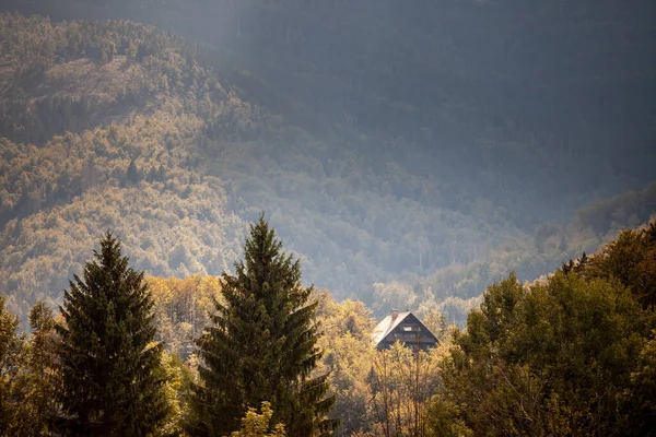 Selective Blur Residential House Slovenian Chalet Building Middle Mountain Forest — Stok fotoğraf