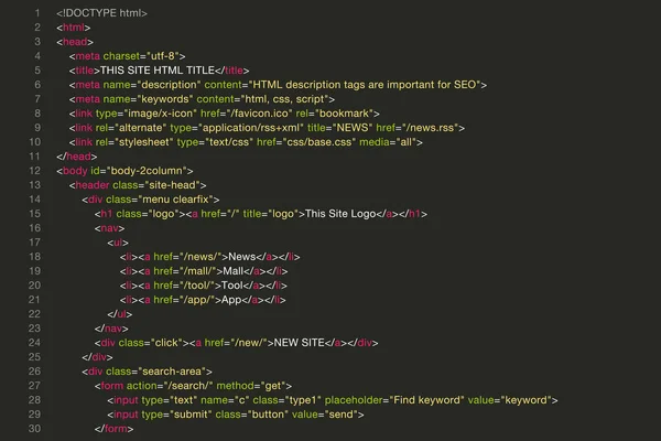 Ana sayfanın HTML kaynak kodu, kodlama ekranının vektör illüstrasyon materyali