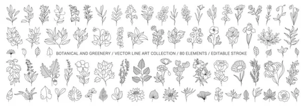 Conjunto Plantas Dibujadas Mano Hojas Flores Siluetas Elementos Naturales Para — Vector de stock
