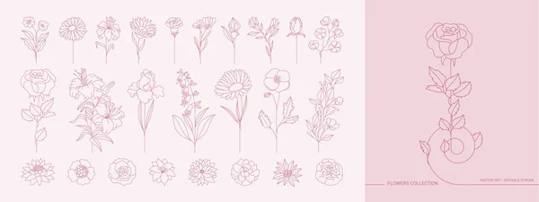 Rama Floral Flores Minimalistas Para Logo Tatuaje Línea Dibujada Mano — Vector de stock