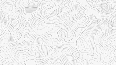 topografik çizgi kontur haritası arka planı, coğrafi Kılavuz haritası