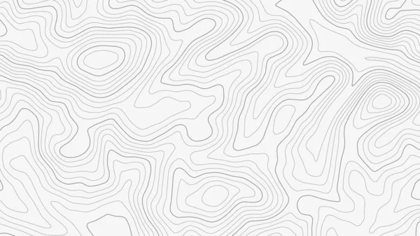 Фон Топографічної Лінії Контурної Карти Географічна Карта Сітки — стоковий вектор