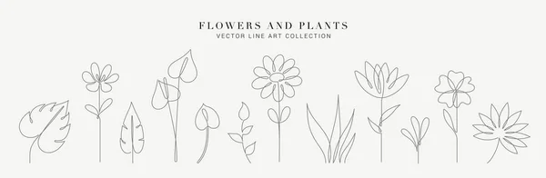 Conjunto Plantas Dibujo Línea Continua Esbozo Negro Flores Aisladas Sobre — Vector de stock