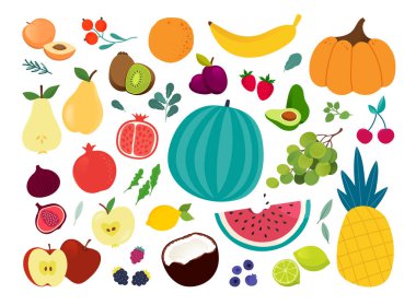 Canlı renklerin toplanması Meyve İllüstrasyonları. Düz biçim tam vektör çizimleri