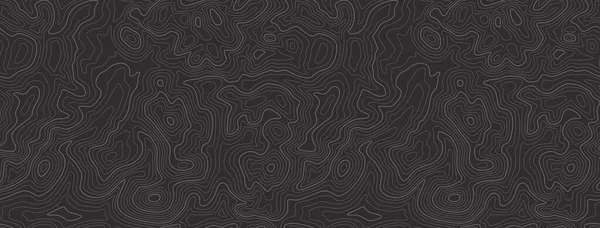 Topographic Map Background Topographic Map Lines Contour Background Geographic Abstract — Stockový vektor