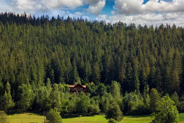 Wooden houses in the mountains among the forest, on a slope, clouds and blue sky — ストック写真