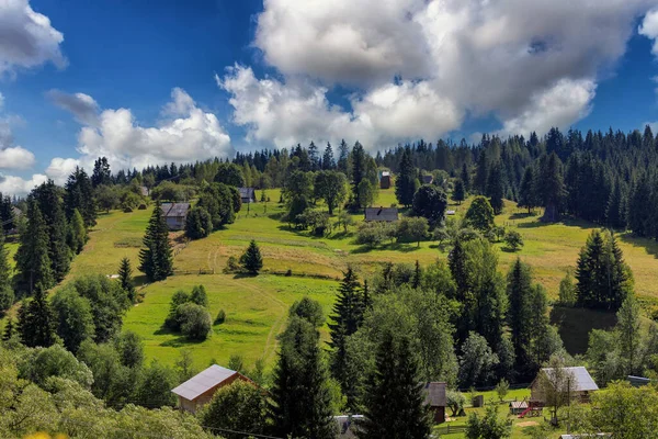 Дерев'яні будинки в горах серед лісу, на схилі, хмари і блакитне небо — стокове фото