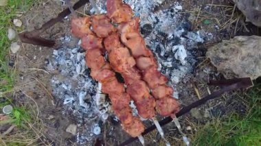 Doğada barbekü, piknik, ev yapımı barbekü. Bahar