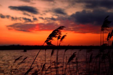 Gölde gün batımı bulutlar ve güneş ışınlarıyla sığ bir alan derinliğiyle